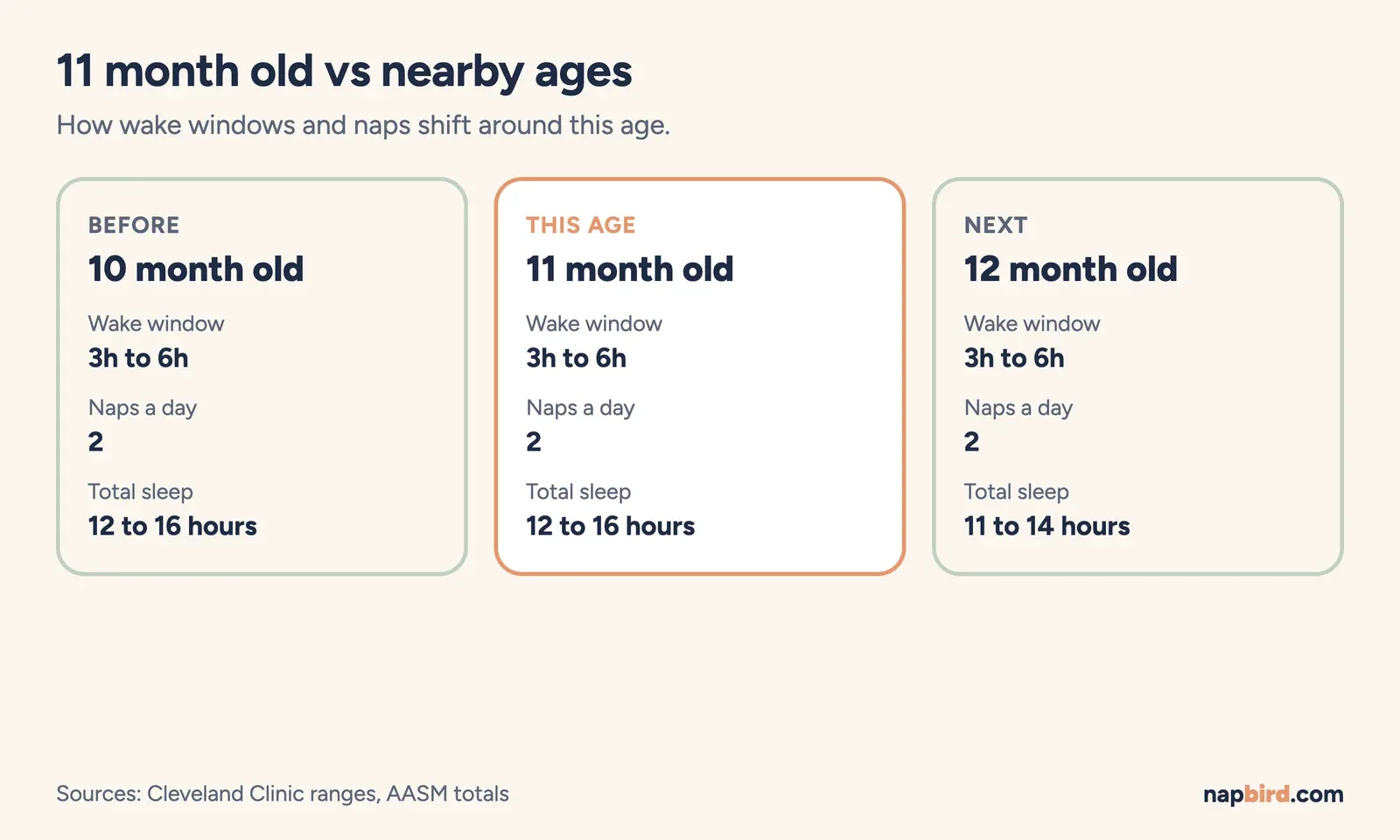 Comparison cards for 10, 11 and 12 months showing wake window range, naps per day and total sleep