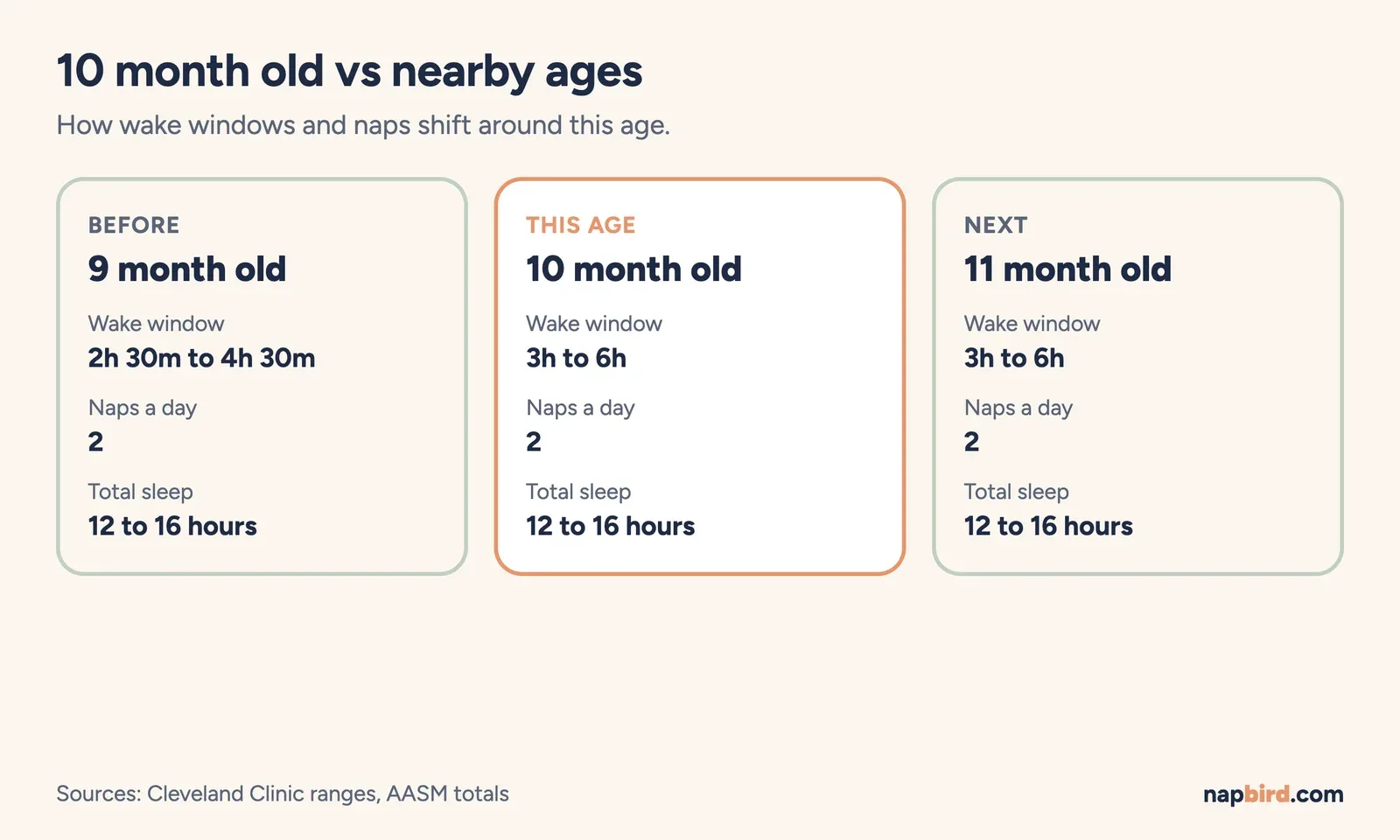 Comparison cards for 9, 10 and 11 months showing wake window range, naps per day and total sleep
