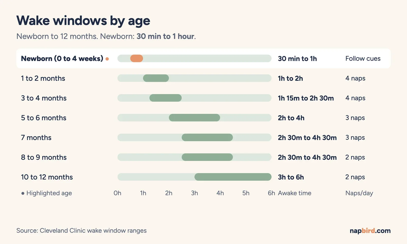 Range chart of baby wake windows by age with the newborn band of 30 minutes to 1 hour highlighted