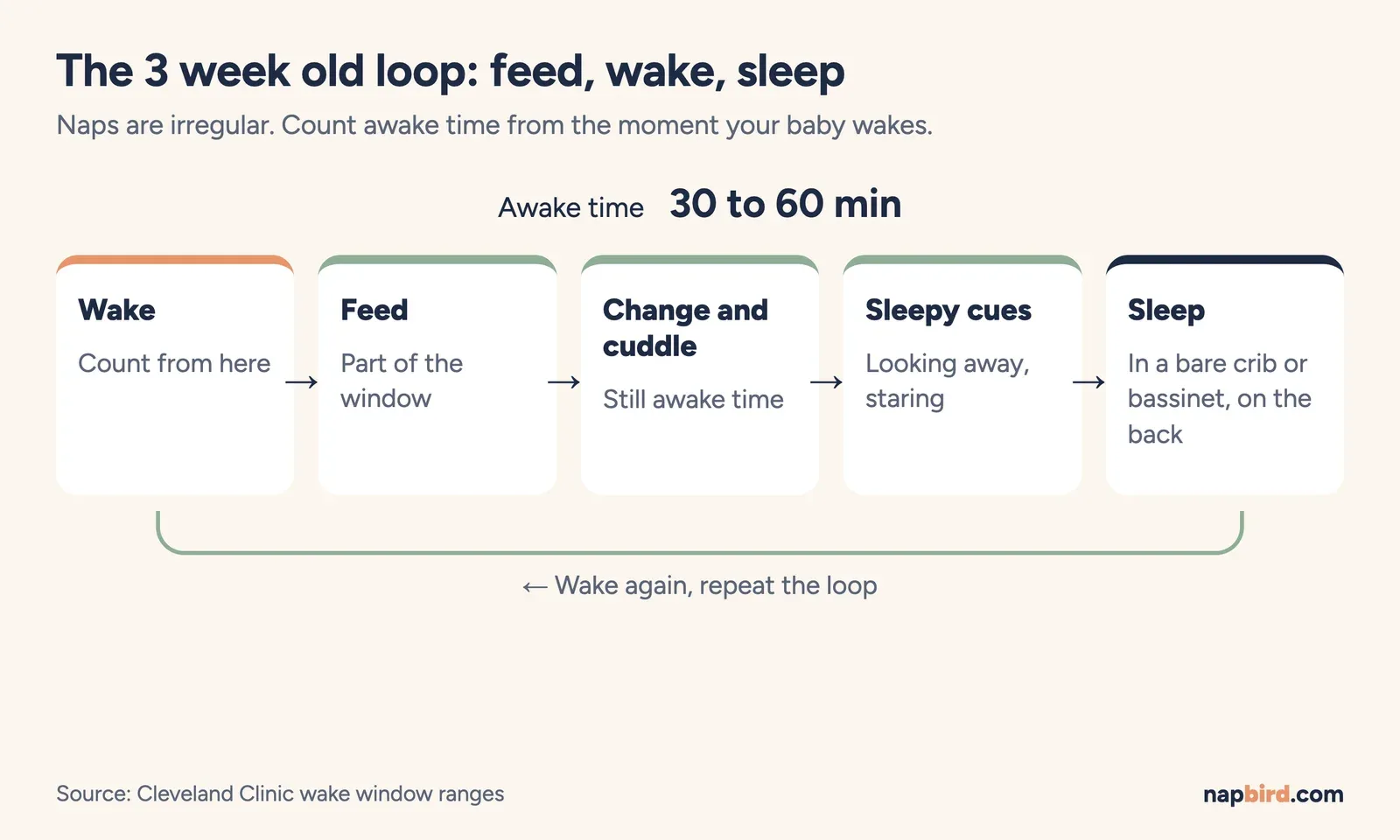 The 3 week old loop of feed, change, cuddle, sleepy cues and sleep, with 30 to 60 min awake in the middle
