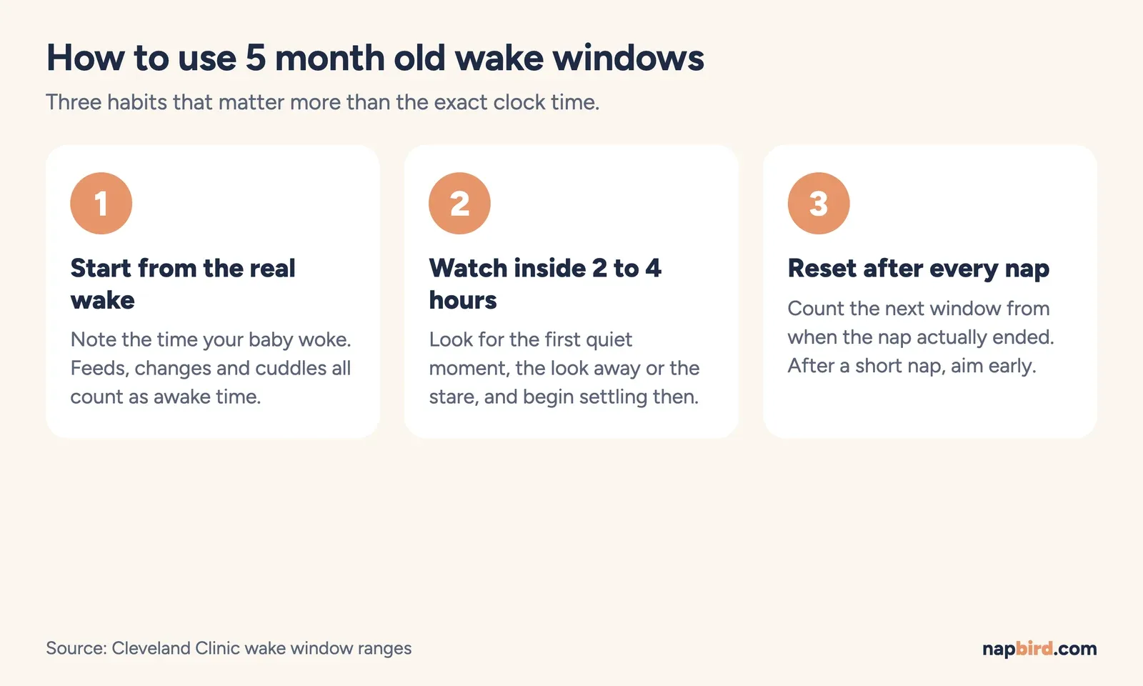 Three step diagram for 5 months: start from the real wake, watch for the quiet moment within 2 to 4 hours, adjust after each nap
