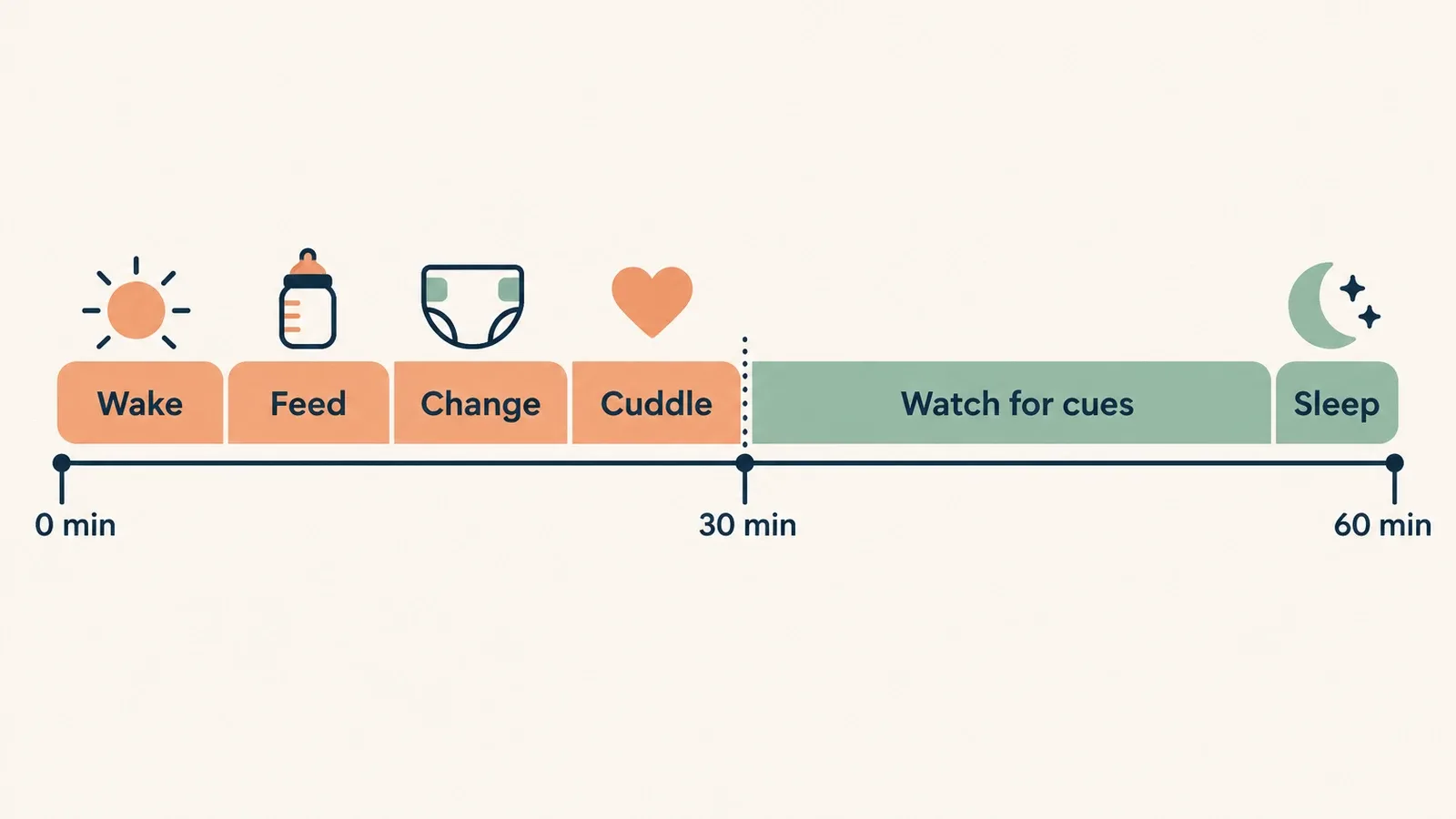 Timeline of one newborn waking from 0 to 60 minutes: wake, feed, change and cuddle, then watch for cues from 30 to 60 minutes, then sleep