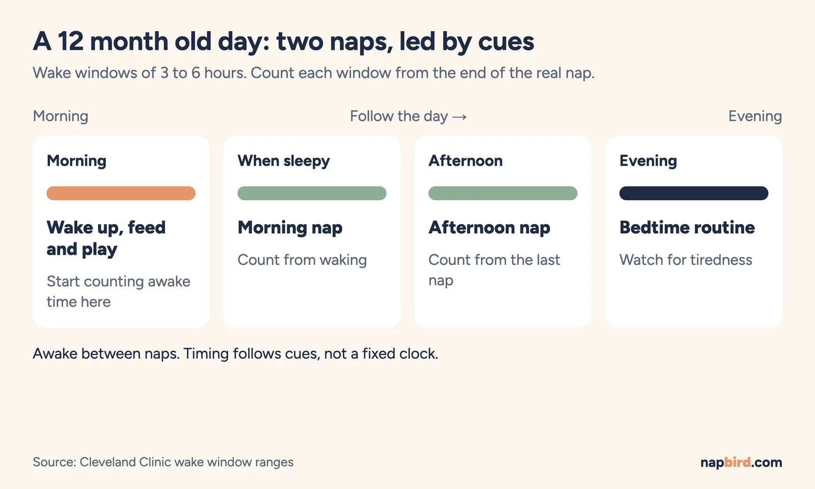 Vertical timeline of a 12 month old day: morning wake and play, morning nap when sleepy, afternoon nap, evening bedtime routine