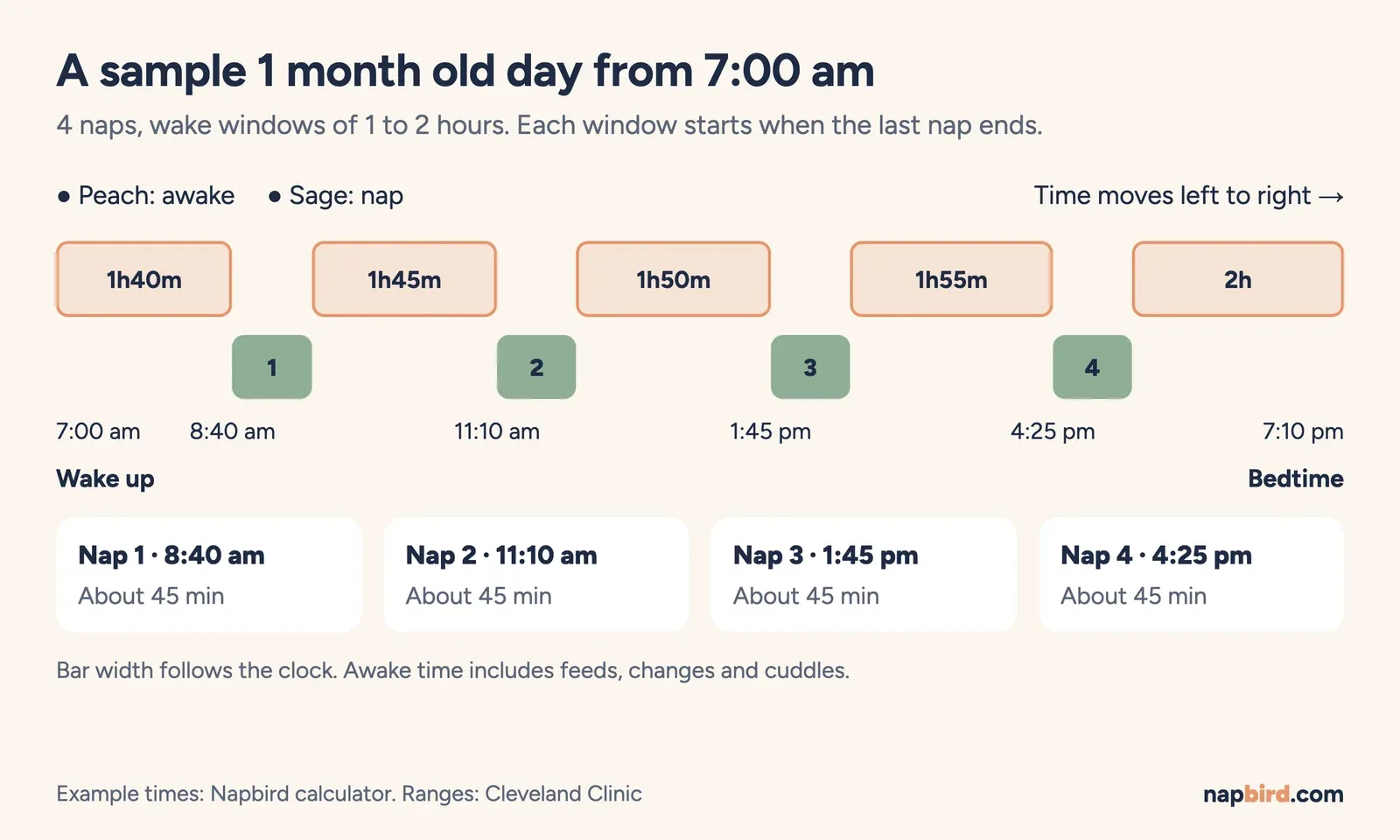 Vertical timeline of a sample 1 month old day from 7:00 am with four naps and bedtime at 7:10 pm