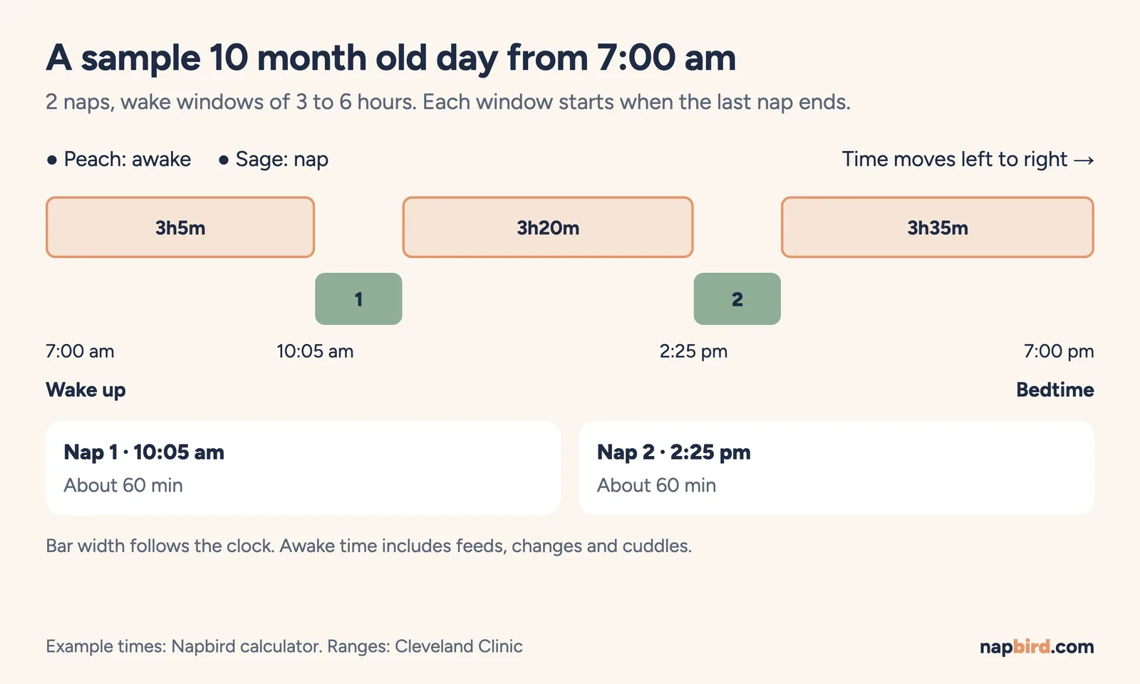 Vertical timeline of a sample 10 month old day from 7:00 am with awake stretches of 3 hr 5 min, 3 hr 20 min and 3 hr 35 min