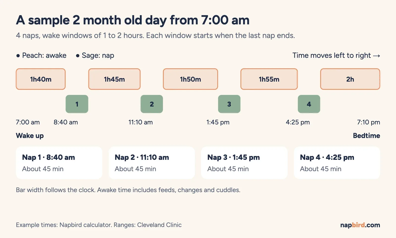 Vertical timeline of a sample 2 month old day from 7:00 am with four naps of about 45 minutes and bedtime at 7:10 pm