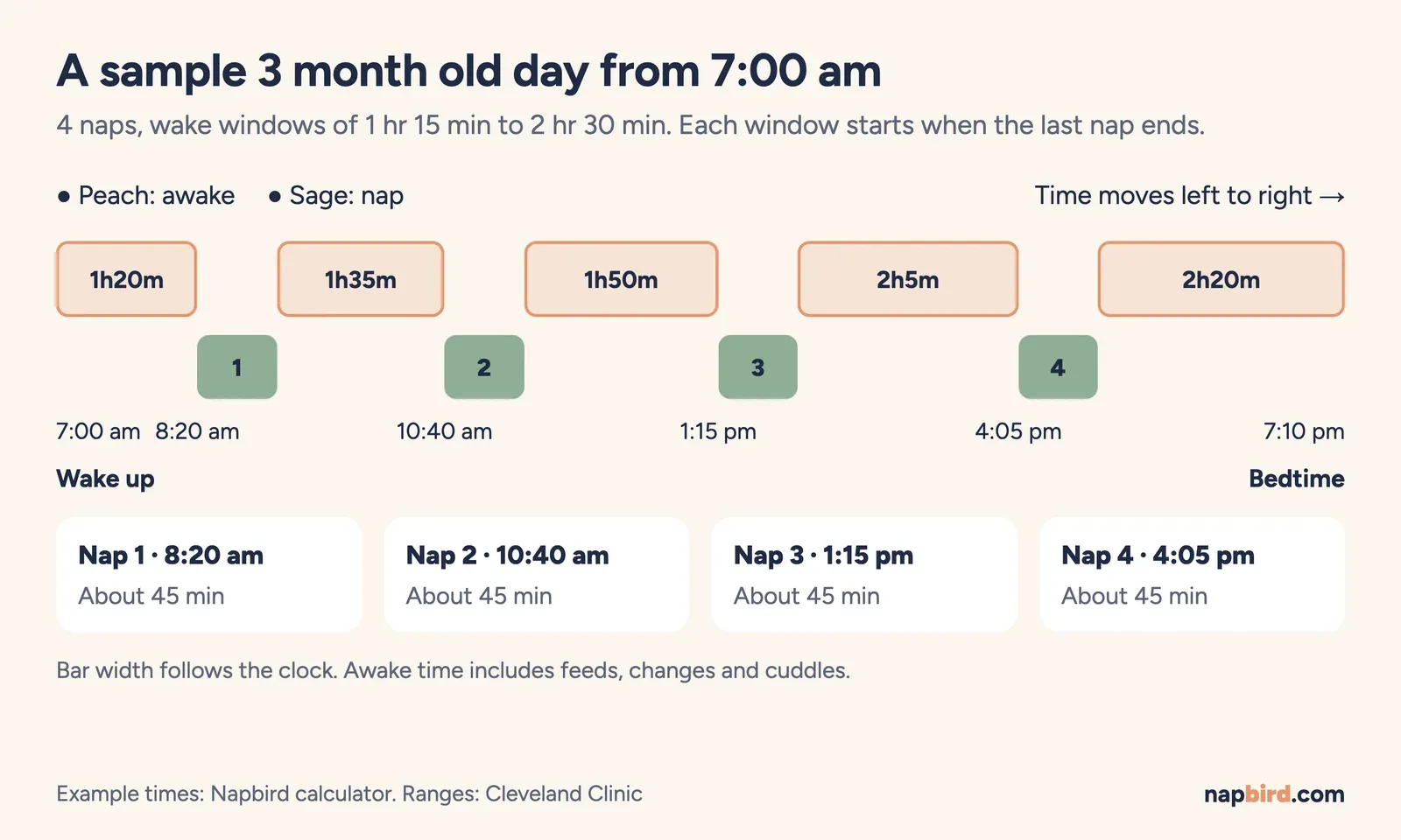Vertical timeline of a sample 3 month old day from a 7:00 am wake, showing four naps and a 7:10 pm bedtime